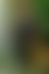 1359769816 mariyashoot