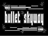 Bullet Skyway