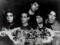 Image for DROWN IN DESPAIR