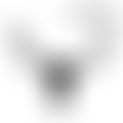 1307042777 strayhorn01b