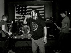 Image for Miscegenator