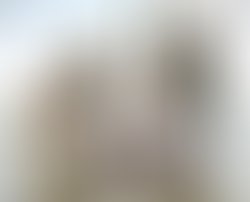 1436911447 skittish music band