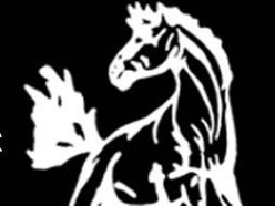 Image for The Colts
