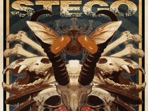 STEGO