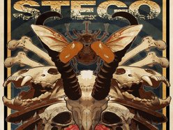 Image for STEGO