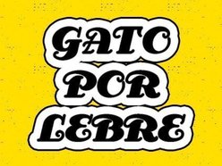 Image for Gato Por Lebre