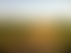 1345771303 field photo