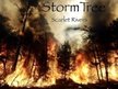 StormTree