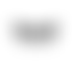 1402059012 leonix logo