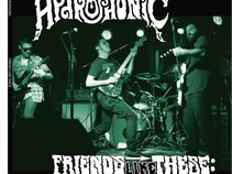 Hydrophonic