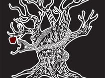 Cody Joe Tillman & the Wicked Truth