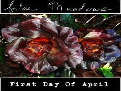 Image for The Wristband