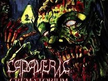 Cadaveric Crematorium