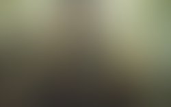 1387528623 chase gassaway 025