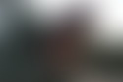 Img 2307