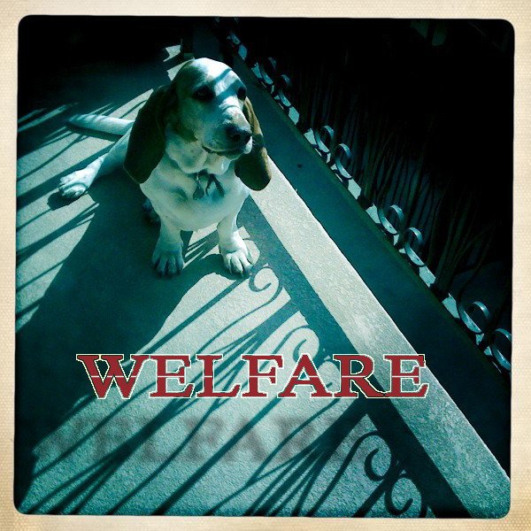 ReverbNation profile picture for @welfare