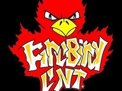 Image for Firebird Ent.