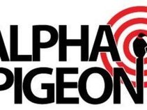 Alpha Pigeon