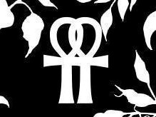 Image for Rosetta Stoned
