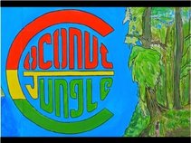 Coconut Jungle