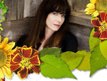 Marilyn HarperSmith