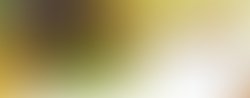 1311016383 website cover