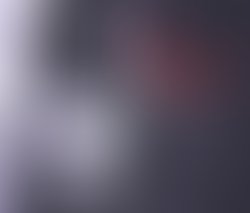 1455452561 affiche damous . crazy love