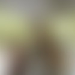 1336165077 me myguiz