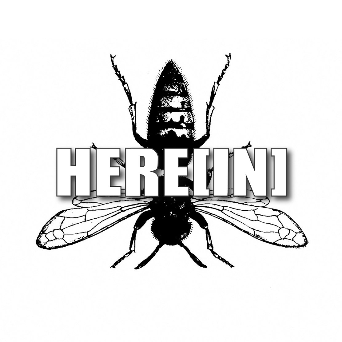 ReverbNation profile picture for @herein