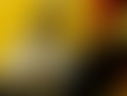 1437259700 susie sings great