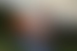 1339960411 img 0070