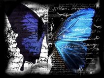 THE BUTTERFLY NETWORK