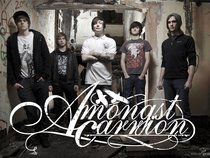 Amongst Carrion