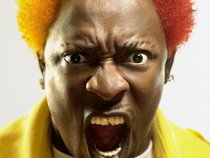 elephant man