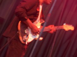 Image for Freddie Lee Band