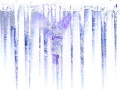 Image for One Will Fall