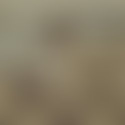 1401362295 demi louise ruins