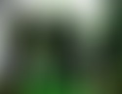 21731752 927573384047507 4967365966437099789 o