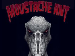 Image for Moustache Ant