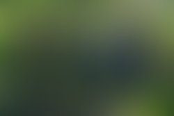 Morgan heritage 2015 promo pic3