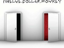 Twelve Dollar Monkey
