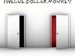 Image for Twelve Dollar Monkey