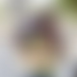 Img 20220521 100607 908