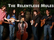 The Relentless Mules