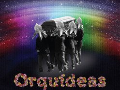 ReverbNation profile picture for @orquideas