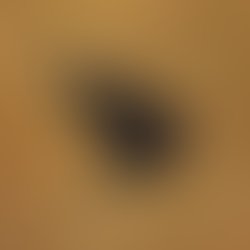 1418702502 reverbavatar