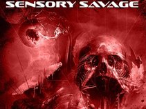 SENSORY SAVAGE