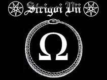 Strigoi Vii
