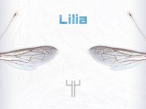Lilia