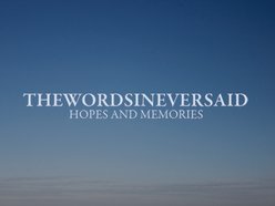 Image for the words i never said